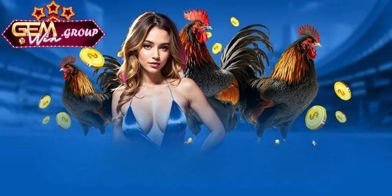 Một số điểm hấp dẫn nhất của cá cược đá gà