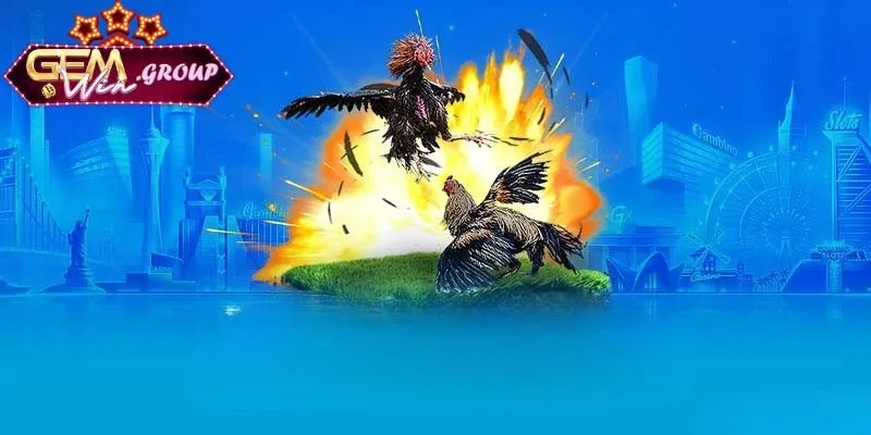 Chiến Thuật Đá Gà Hiệu Quả - Trực Tiếp HD, Cược Nhanh, Thưởng Khủng