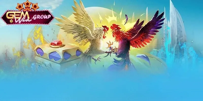 Danh sách nhà cung cấp cho sảnh chiến thuật đá gà hiệu quả