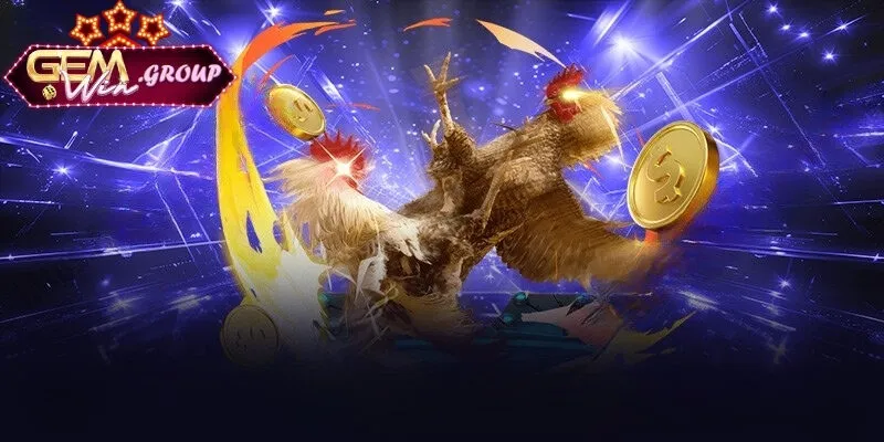 Những điểm thu hút người chơi đến sân đá gà GEMWIN