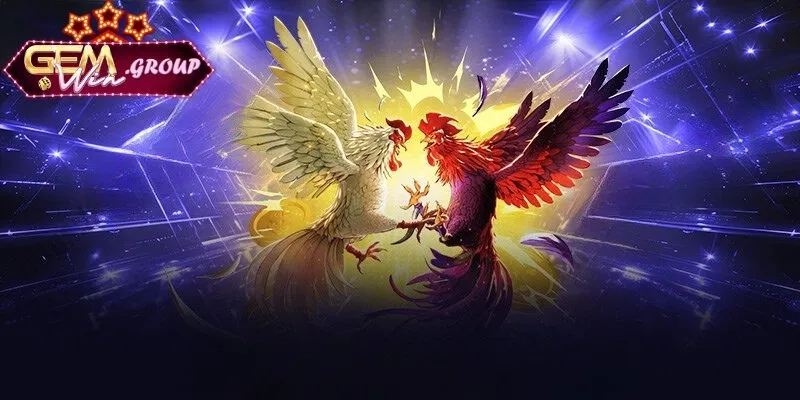 Điểm danh các loại hình đá gà được yêu thích nhất