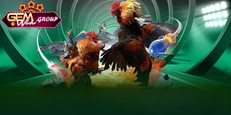 Đá Gà Trực Tuyến - Đấu Trường Dành Cho Game Thủ Hướng dẫn cách đặt cược đá gà trực tuyến