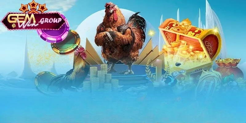 Những thông tin cơ bản về đá gà mà tân thủ nên biết