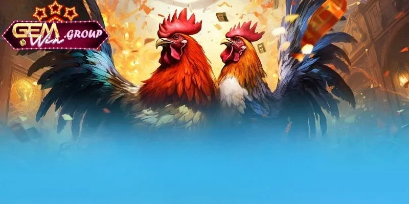 Giới thiệu luật đá gà chọi 3 miền​ - Bùng nổ mọi trận đấu