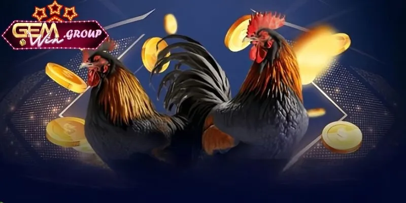 Mẹo Chọn Gà Đá Hay - Bí Quyết Tìm Chiến Kê Tại GEMWIN Đánh giá sức khỏe và tinh thần gà chọi bí quyết của sư kê