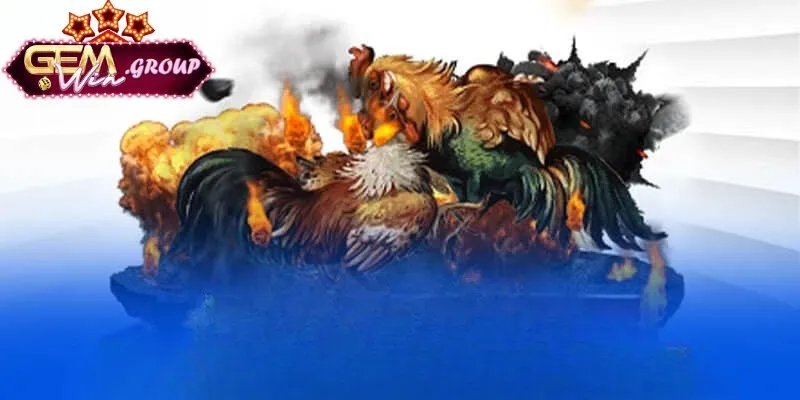 Tổng hợp một số siêu kinh nghiệm về soi kèo đá gà rất chuẩn