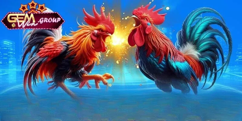 Thuật ngữ chọi kê đầm cán