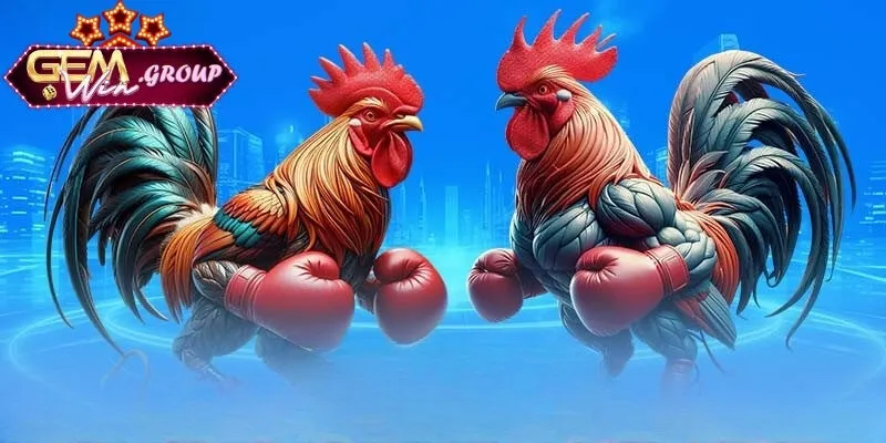 Thuật ngữ trong chọi kê liên quan đến quá trình chấm tiền