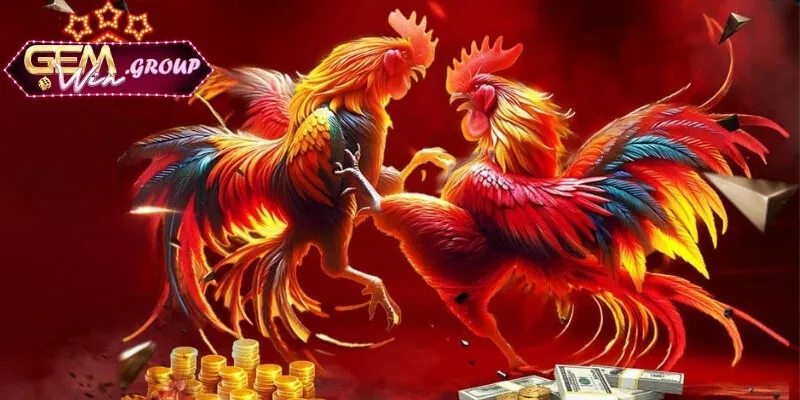 Tỷ Lệ Kèo Đá Gà Vô Cùng Đơn Giản Nhưng Hiệu Quả